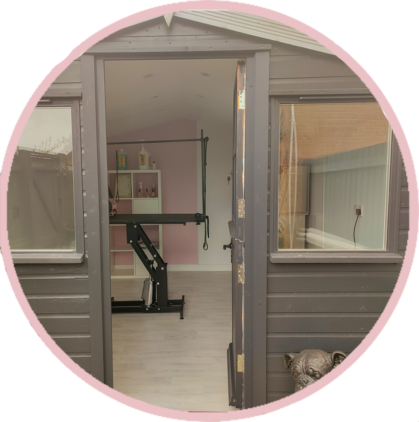 Pooch Parlour Dog Grooming Pooch Parlour