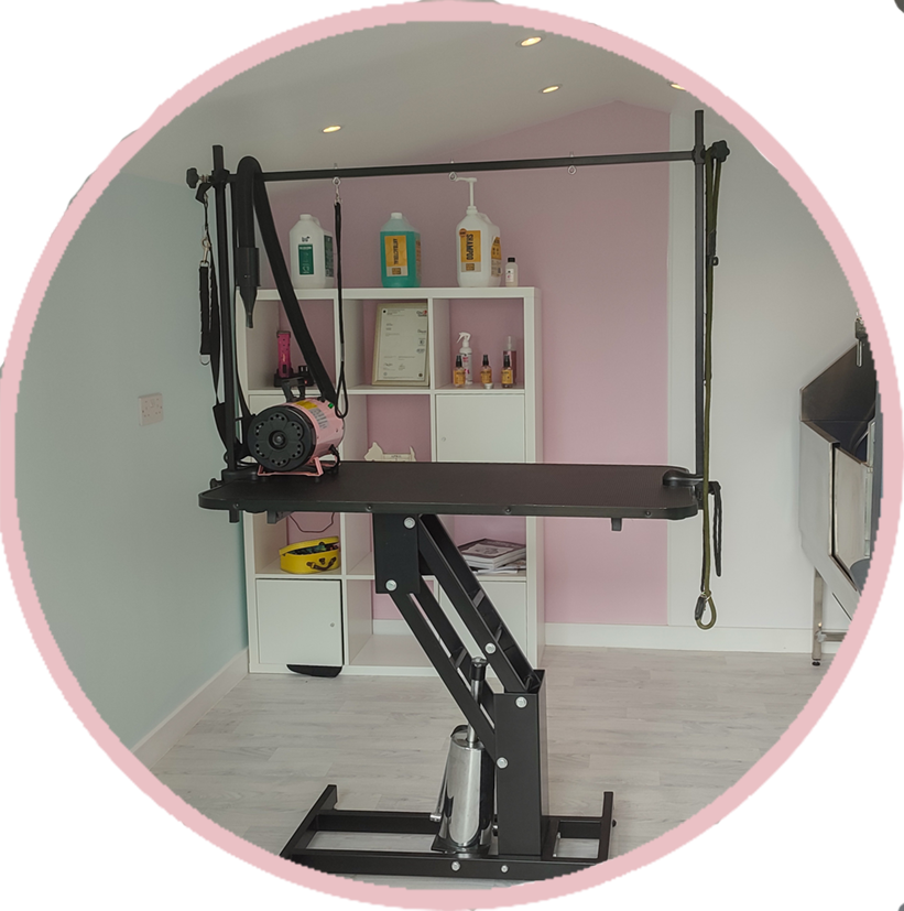 Pooch Parlour Dog Grooming Pooch Parlour